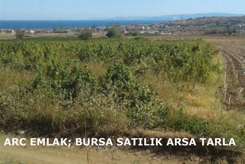 ARC EMLAK; Bursa satılık arsa, satılık tarla, satılık arsa tarla keles kestel, satılık arsa tarla mudanya 