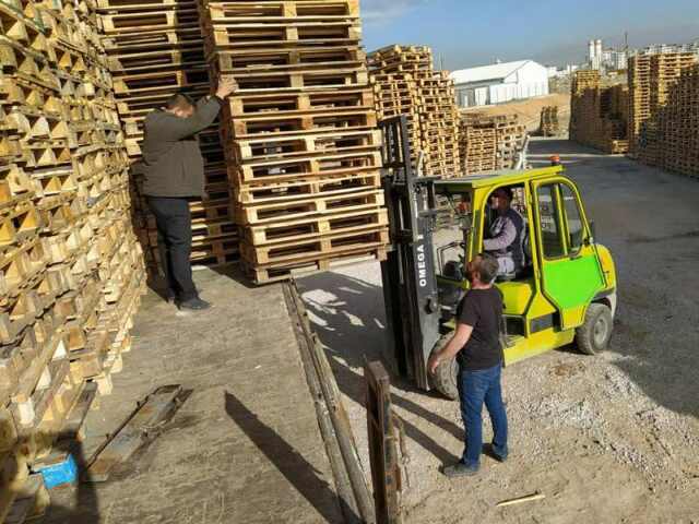 Meşe; Ankara ikinci el ahşap palet, tahta palet, ikinci el palet fiyatları, paletçi, sıfır palet, market paleti,