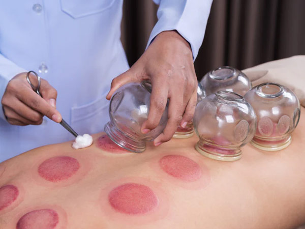 MAKBUL Konya  sülük toptancılar, sülük fiyatları, kilo ile sülük satış, sülük üretim yetiştirme çiftliği