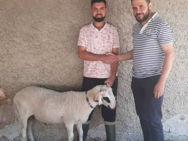 Hatiip  Adak  Konya Adak Kurban Adakçı Adaklık Kurban