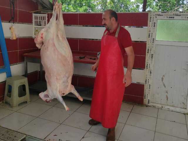 AYYILDIZ  Konya kurbanlık, kubanlık akika, kurbanlık şükür kurbanı, Meram kurbanlık, karatay kurbanlık